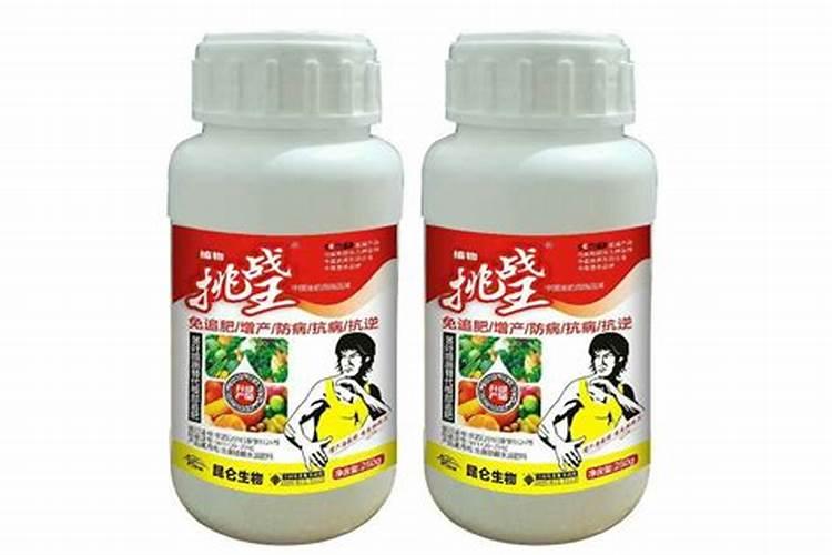 草莓膨果期使用什么肥料效果好