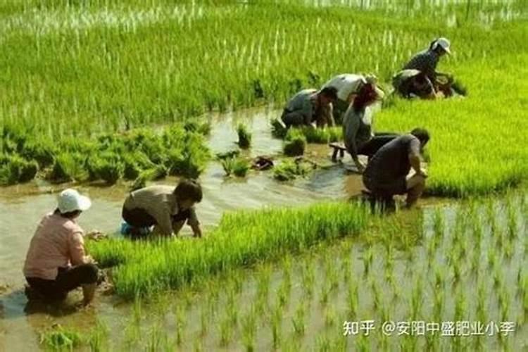矿源黄腐酸钾哪个厂家好