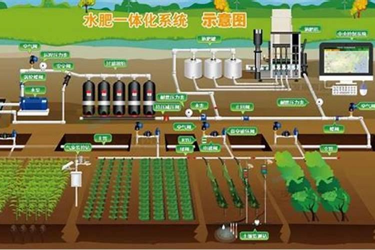 水溶肥使用时注意事项、方法与用量？
