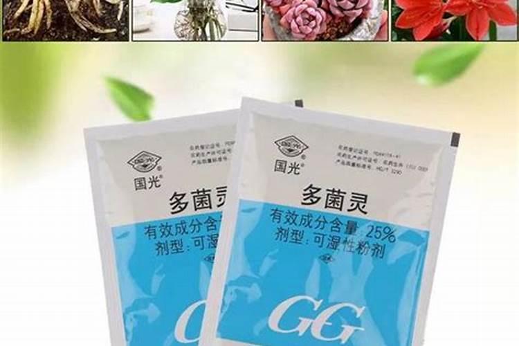 买花送的肥怎么使用正确,绿叶宝肥料使用方法