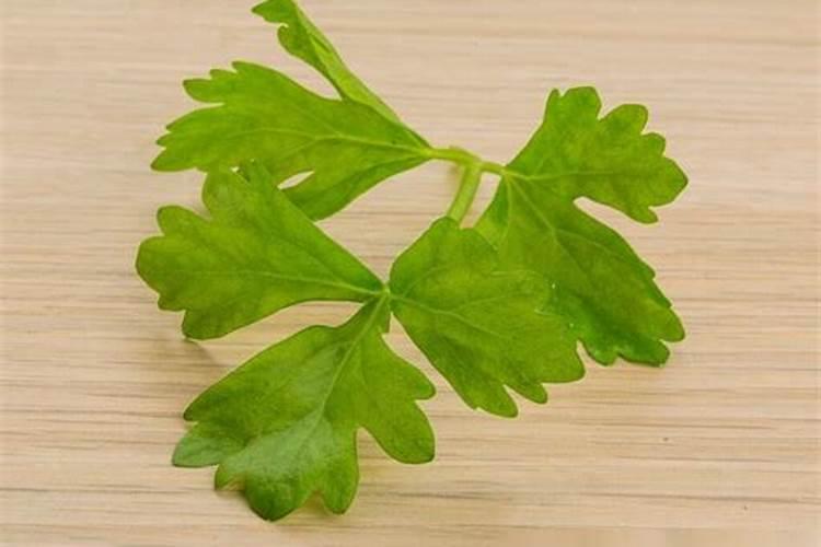 芹菜什么时候用钙肥 怎么使用效果好