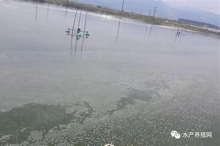河北沃尔壮和宁奥是一个厂家吗
