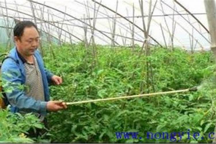 作物使用了大量元素肥料,为啥还要补充中微量元素肥料呢？