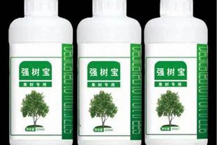 果树用什么肥料最好
