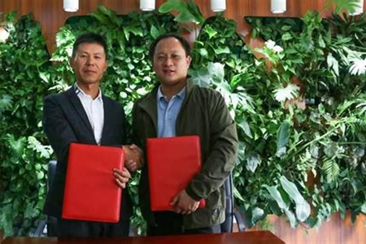 果树怎么施肥