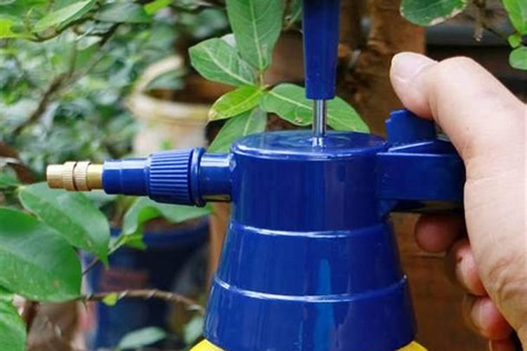 什么样的肥料适合所有花草  养花草用什么肥料好