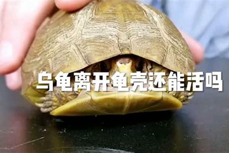 白云牦牛骨钙片效果如何