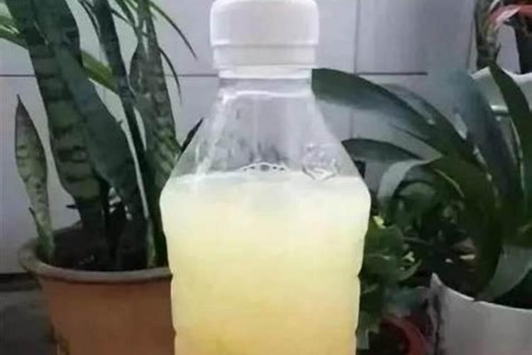 什么牌子的叶面肥效果好