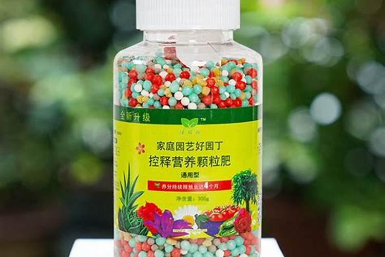 盆景都施哪些肥