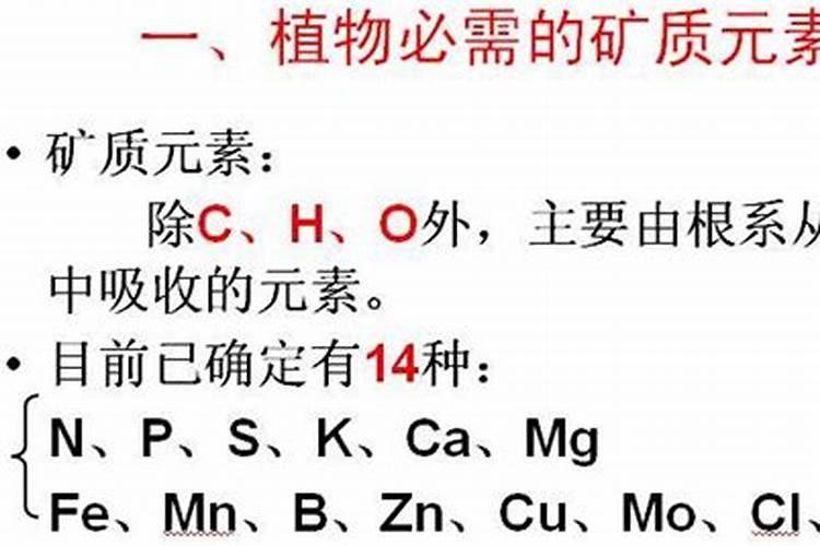什么是大量元素？举例