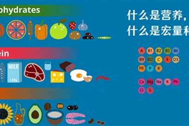 营养液是浇根部还是喷叶面