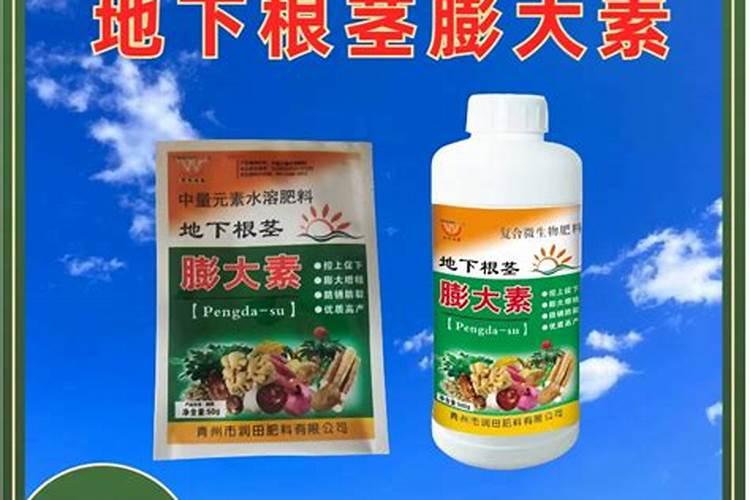 怎么样才能让红薯长得更好种植(红薯如何种植长得多高产)