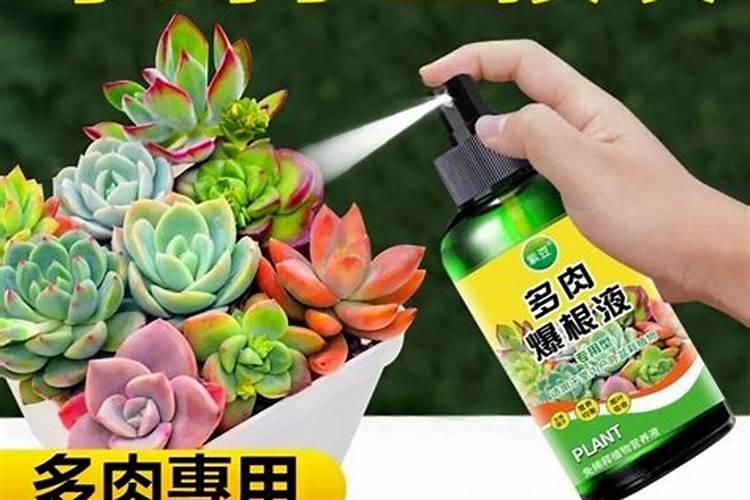 桃树开花后打什么药保果