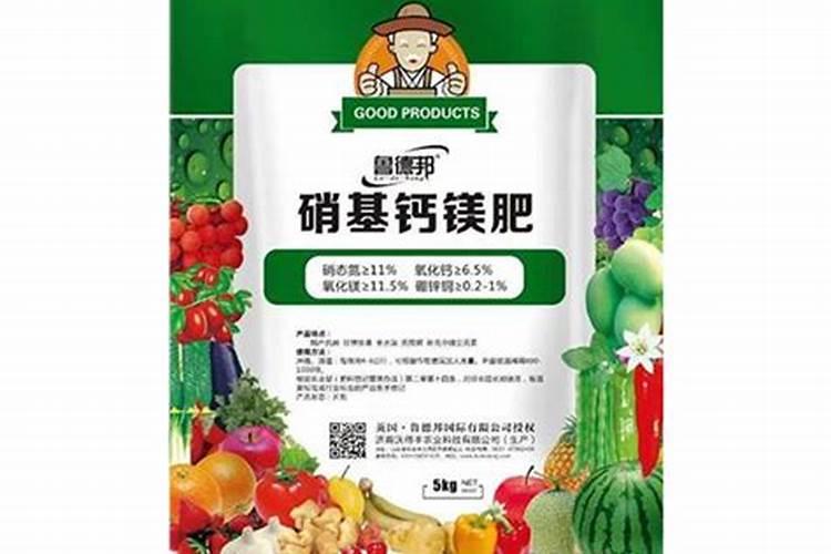 新疆的红枣几月份进入彭大期？
