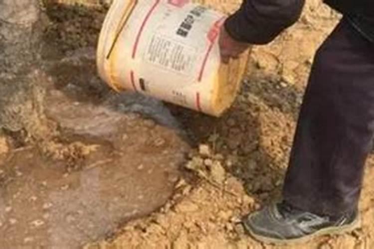 益施秋实中量元素水溶肥用量是多少