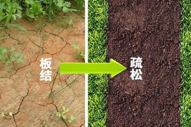 高钾型大量元素水溶肥