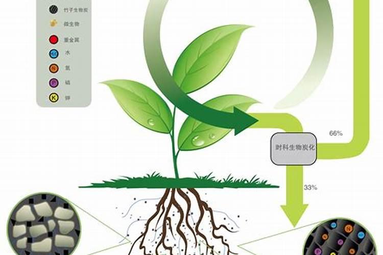 谁用过碳当家水溶肥？我种植的果树,效果怎么样？