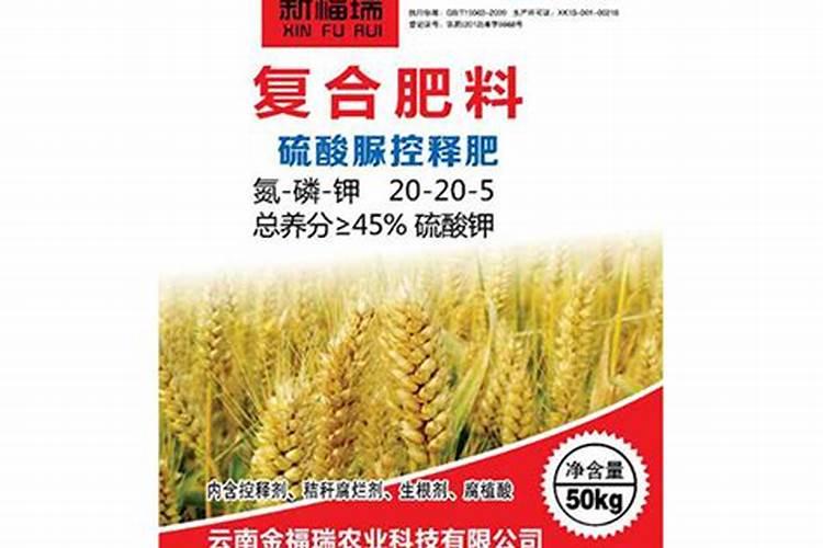苹果在套完袋子后,究竟还用不用浇水呢？