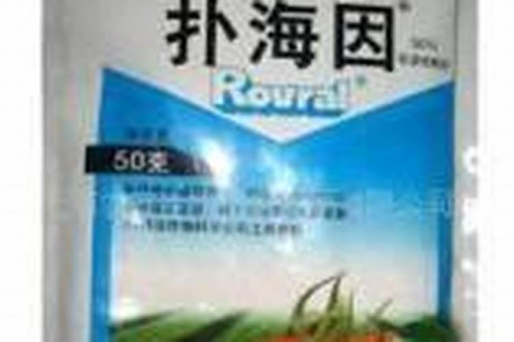 请问火腿肉有哪些食用法？谢谢!