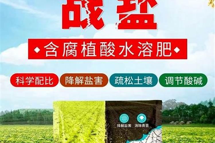 虾塘怎样用磷肥肥水