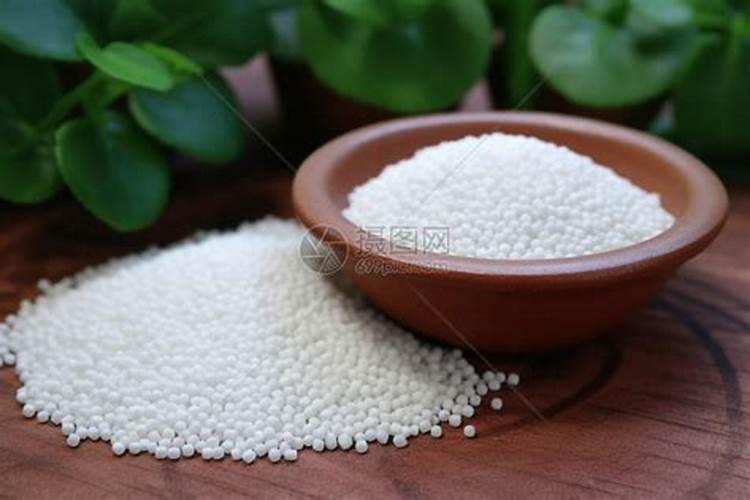 白色的小圆颗粒是什么肥料可不可以给茉莉花用