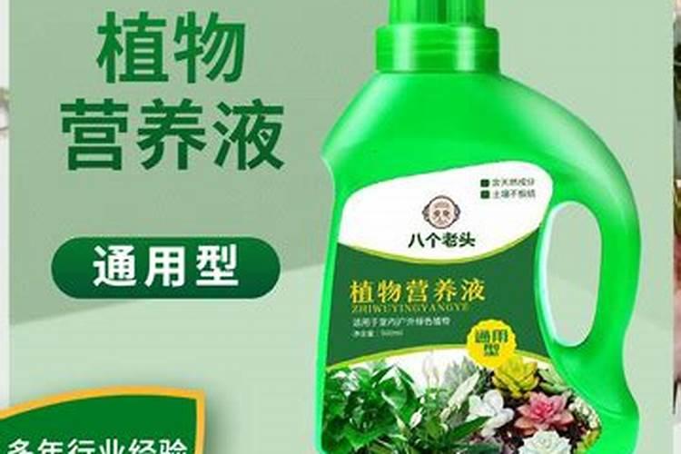 种花什么肥料最好 家庭养花十大最好花肥