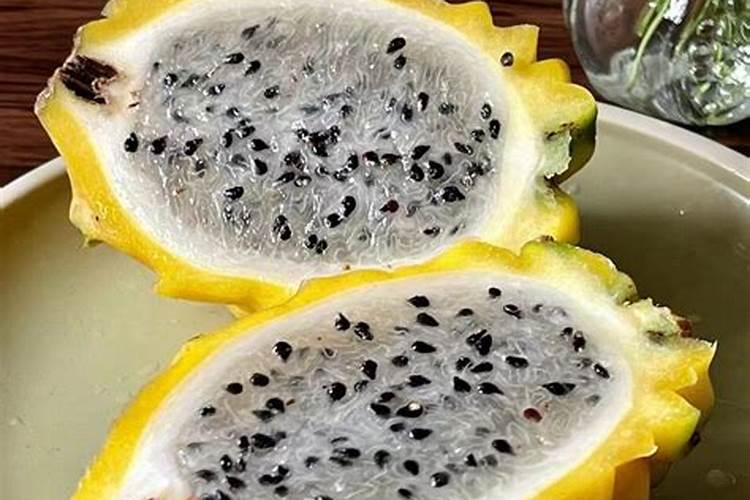 幸福树浇水多少