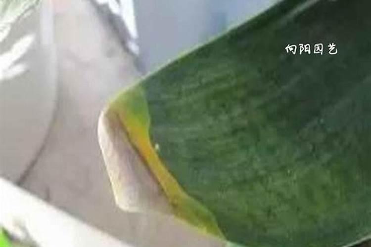化肥是什么原料做的 化肥原料从哪里来的