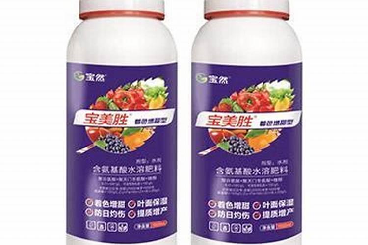 大姜使用的肥料有哪些？应该如何科学给大姜施肥？
