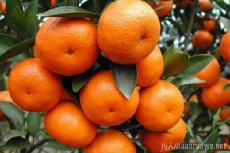 大豆花期喷什么叶面肥好