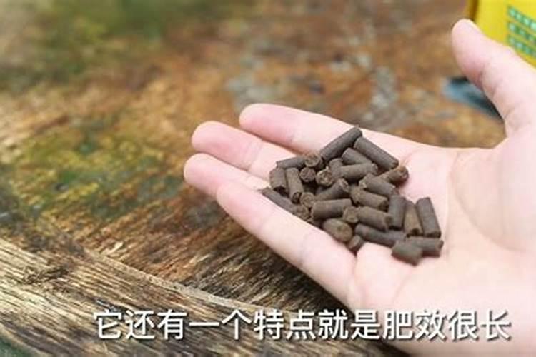 养花上什么有机肥比较好、养花的肥料该怎么选