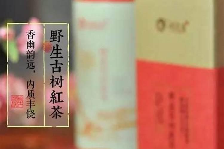 普洱茶茶底之辨
