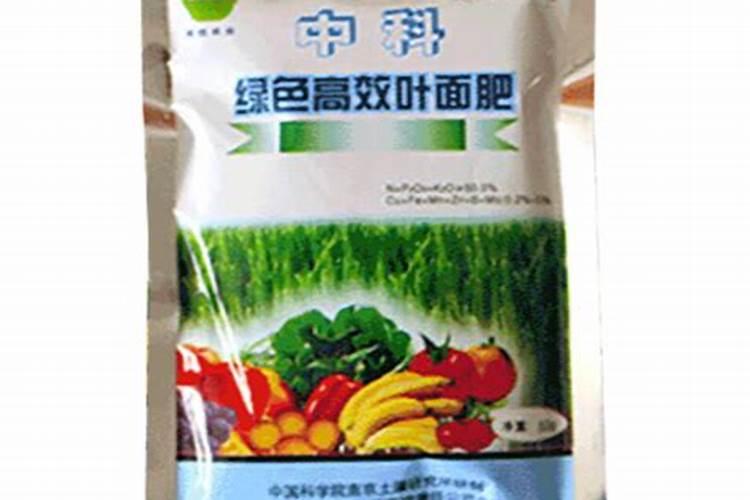 叶面肥哪个牌子好？