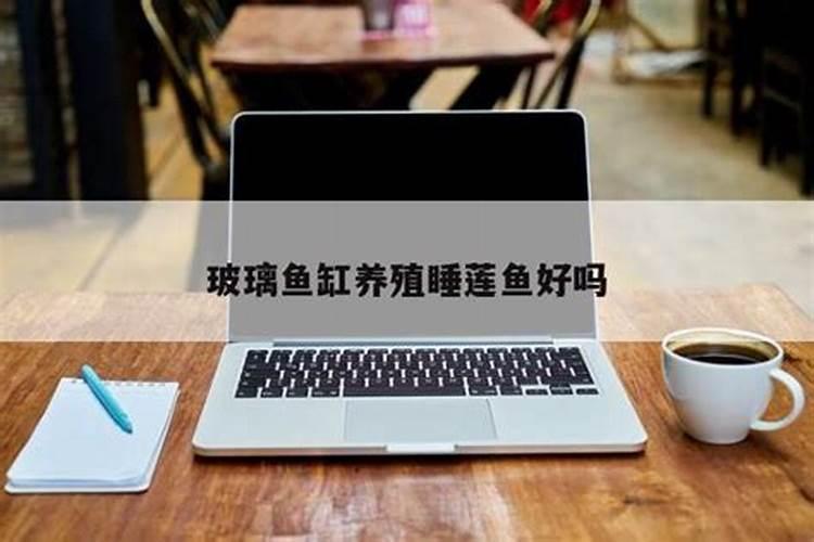 在阳台种菜最好的是用什么肥料