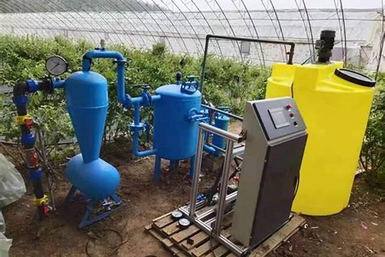 大棚草莓种植如何管理？大棚草莓水溶肥料施肥技巧