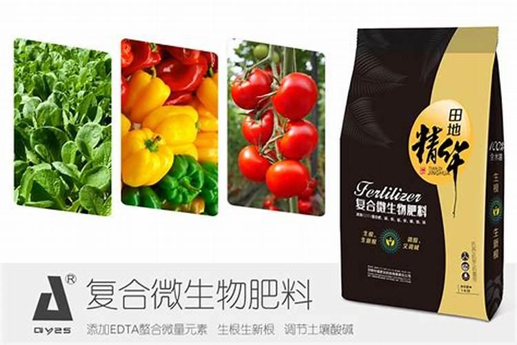移植大葱如何开沟