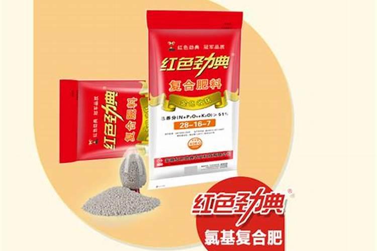 当归叶子变红怎么办