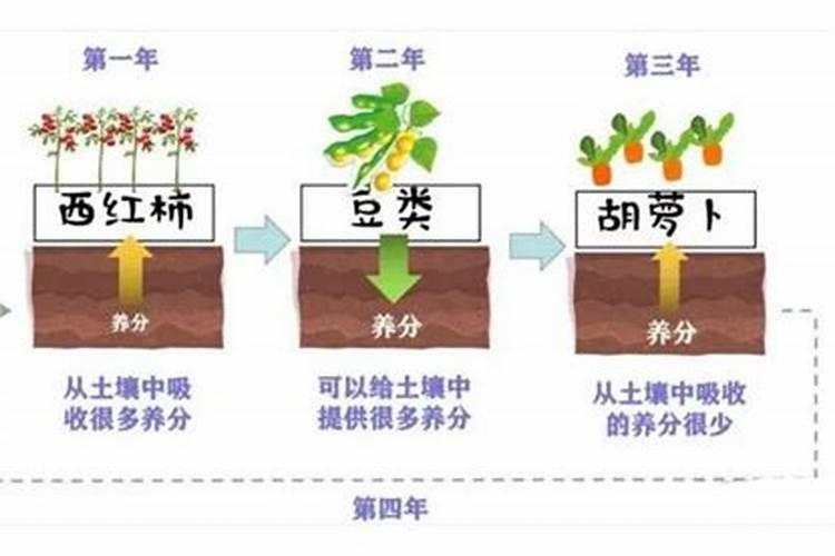 种植绿肥的几种方式