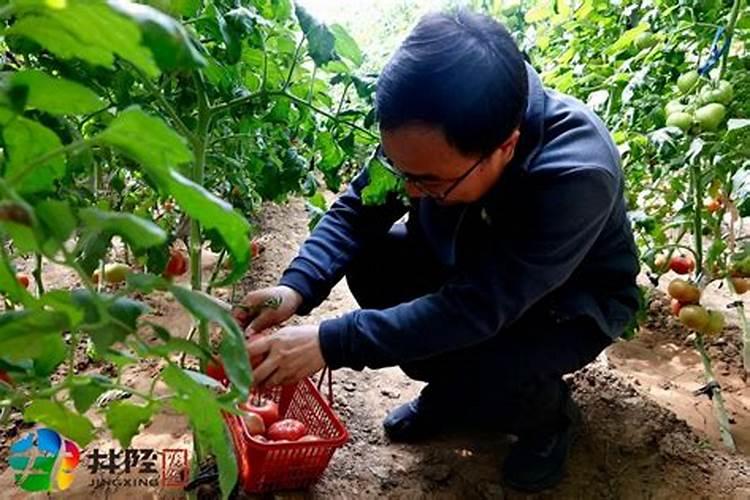 液氮罐带液氮如何运输？