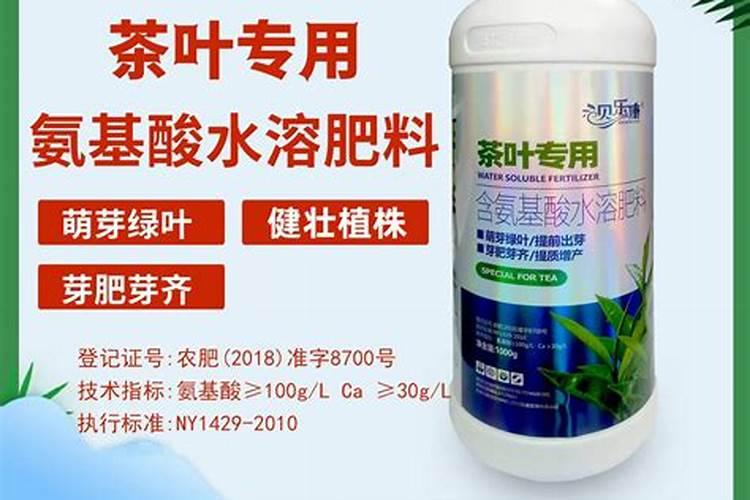 我朋友去香港和澳门旅游 想送他点东西