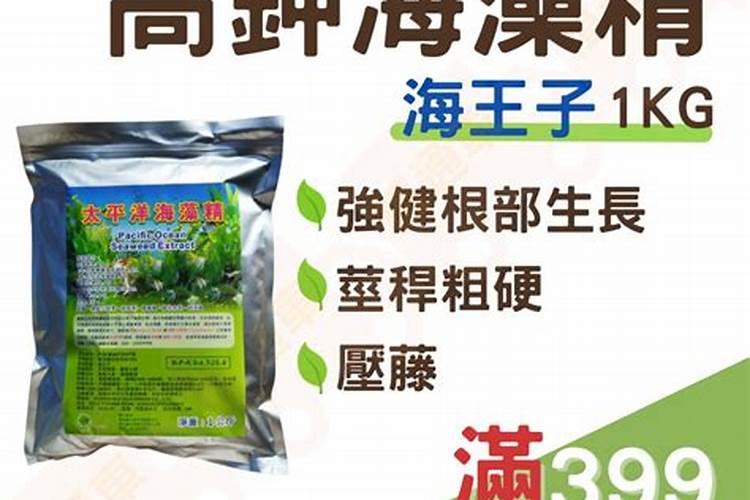 海藻精能浇叶菜吗？