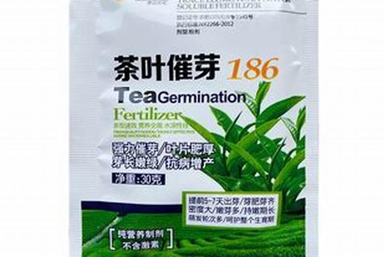 土豆开花后施什么肥料能提高产量