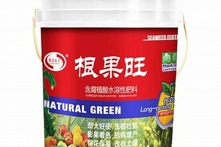 沙糖桔青苔怎么清除