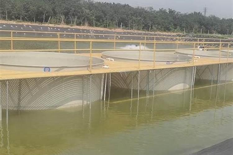 大量元素水溶肥知名品牌有哪些？