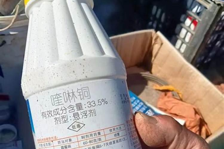 菜叶发黄是缺什么肥？