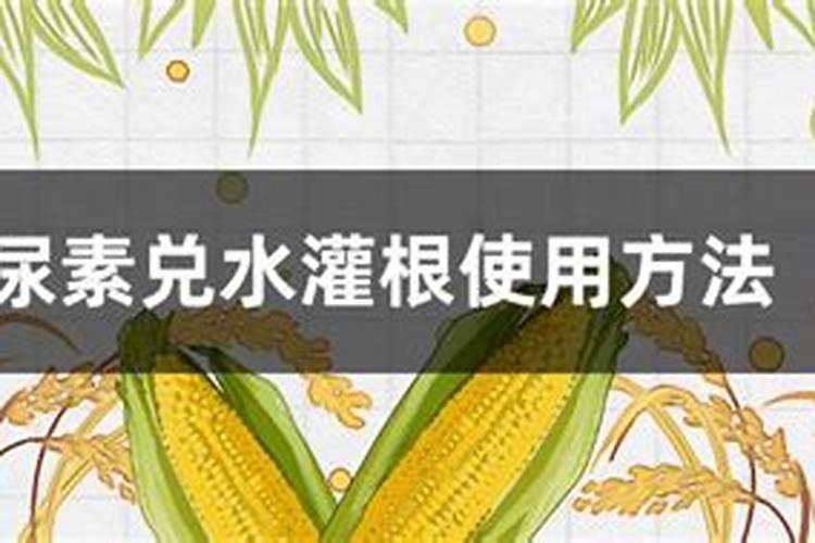 花多多肥料怎么用