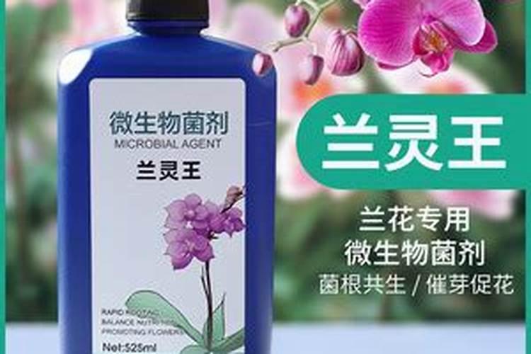 缺氮的植物有什么症状