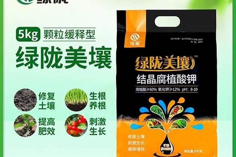 什么叫预制菜？