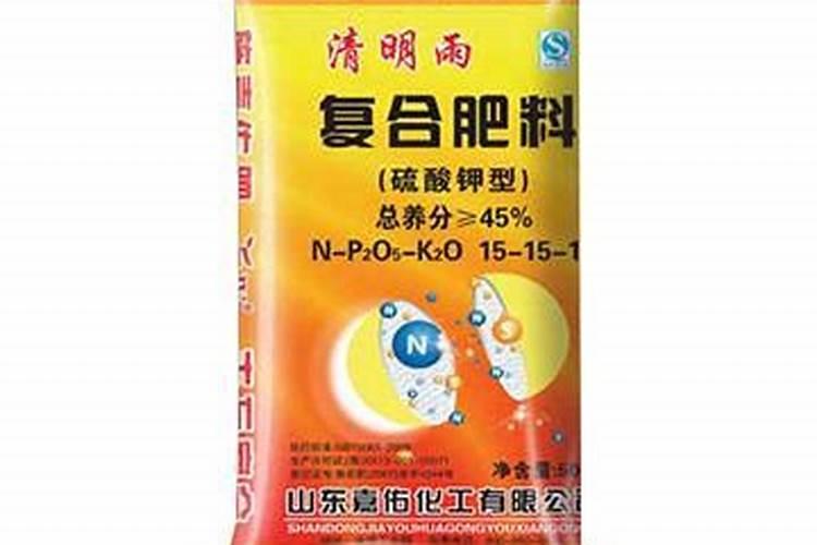 大青枣膨果期管理要点 大青枣应怎么施肥