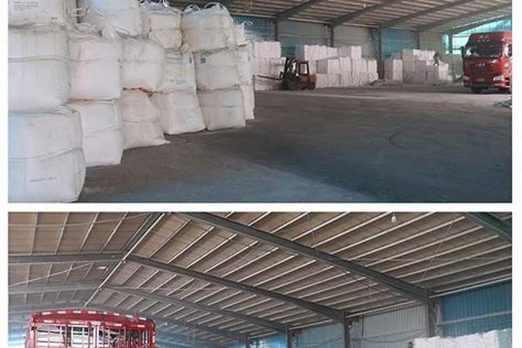 请教养兰高手用做君子兰肥料的(麻子)是蓖麻子吗